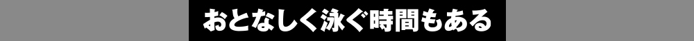 おとなしく泳ぐ時間もある